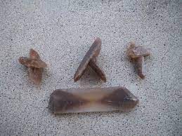 Check spelling or type a new query. Digging For Selenite Crystals At The Great Salt Plains Day Trip Oklahoma Trip