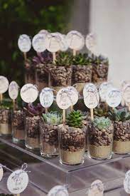 24 Cheap And Cheerful Summer Wedding Ideas Plant Wedding Favors Spring Wedding Favors Succulent Wedding Favors