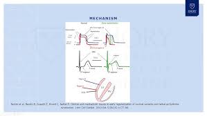 Image result for Early Repolarization