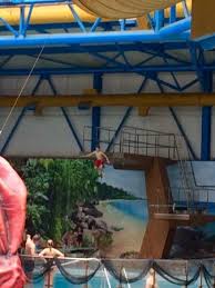 More recently, the olympics eliminated the 1m and now only competes 3m and 10m. My Child Trying Out The Olympic High Dive Board Picture Of Barnsley Metrodome Waterpark Calypso Cove Tripadvisor