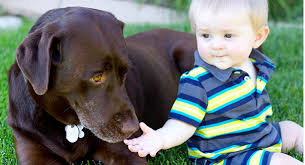We are a full service veterinary hospital offering care for small and large animals. Union Park Veterinary Hospital Cottonwood Heights Utah Animal Clinic