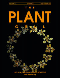 Plant and cell physiology editorial board. Plantae The Plant Cell Plantae