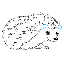 How To Draw A Hedgehog Really Easy Drawing Tutorial Hedgehog Drawing Easy Drawings Drawings