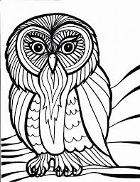 Create your own collection of animal coloring pages. Free Printable Owl Coloring Pages For Kids