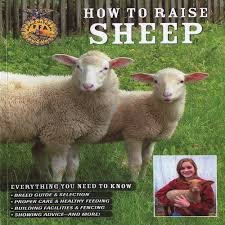 Sheep Farming For Beginners Sheep Farm Goats Raising Farm Animals