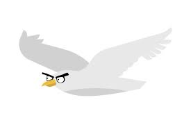 Download Angry Seagull Svg Cut File By Creative Fabrica Crafts Creative Fabrica PSD Mockup Templates