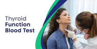 Image result for Thyroid Function Test