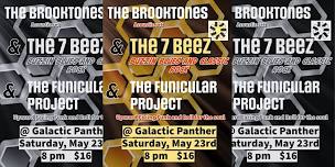 LIVE MUSIC: with the 7 Beez and Friends