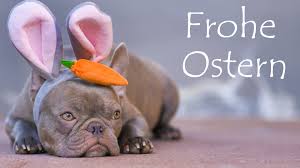 Zu ostern wurden viele witze gepostet wie: Frohe Ostern Whatsapp Grusse Bilder An Familie Und Freunde Verschicken