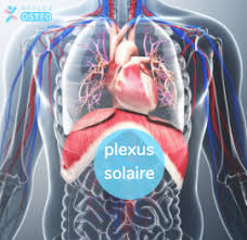 De plus, mes nerfs s'agitent vraiment partout désormais (bras. La Douleur Au Plexus Solaire Tout Savoir Reflex Osteo