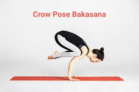 Find the perfect bakasana stock photo. Strengthen Your Arm With Crow Pose Bakasana Ganesha Speaks