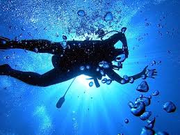 Le plus grand catalogue de films gratuits du web. Sports Scuba Diving Hd Wallpaper Wallpaperbetter