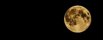 Sind alle kriterien erfüllt für den ersten schnitt nach der rasenerneuerung, kommt es auf die richtige durchführung an. Rasen Mahen Nach Dem Mond Rasenmahen Mondkalender