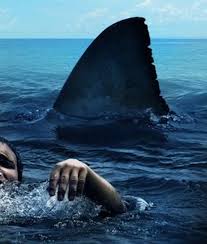 Check spelling or type a new query. 10 Film Teror Di Laut Paling Menegangkan Komentar Ed Catchplay Streaming Online Film Dan Drama Serial Full Hd