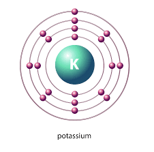 نتیجه جستجوی لغت [potassium] در گوگل