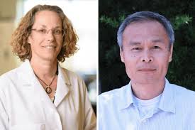 Jacqueline Hart » Center for NeuroGenetics » College of Medicine »  University of Florida