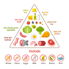 The pyramid was designed to help americans understand which food groups to focus on for better the food pyramid now gives recommendations in total cups of vegetables per day — you can spread. A Better Food Pyramid My Shiny Object Syndrome