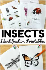 Insects have existed on our planet for millions of years and are considered to be one of the highest populations of creatures on earth. Free Bug Printables Pack For Kids Look We Re Learning