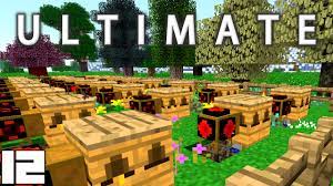 Bee nests have a lesser chance to spawn in a forest, but, since forest has more trees, the player has a bigger chance to find them there. Minecraft Mods Ftb Ultimate Apiary Automation E12 Hermitcraft Modded Server Youtube