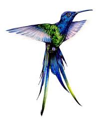 Black And White Bird With Orange Beak And Long Tail Watercolor Print Long Tail Hummingbird Nectar Feather Birds Home Decoration Blue Orange Garden Dec Hummingbird Art Hummingbird Watercolor Illustration