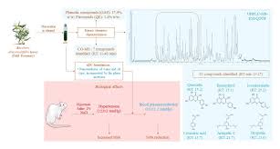 Antihypertensive effect of a nanoemulsion of baccharis dracunculifolia  leaves extract in sodium-dependent hypertensive rats