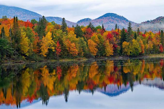 Here's the Best Time to See Fall Foliage in Your State