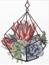 Check spelling or type a new query. Pre Printed Cross Stitch Kit Succulent Garden 1 Needleart World 14 Count Aida 5 5 St Cm With White Background Needleart World Pre Printed Ladybird Cross Stitch Kits The Stitch Company