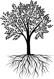 Tree Vector Black White Designs Hd Wallpapers Palm Tree Clip Art Tree Vector Png Palm Tree Vector
