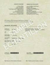 If your previously issued citizenship certificate has been lost, stolen, damaged, or your personal information is outdated, then you should complete form cit 0001e to request a replacement. Citizenship Card Immigrationfacts Ca