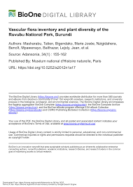 Image result for Pleiotaxis pulcherrima