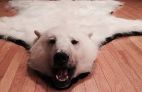 Polar bear teddy bear animal rug bear rug baby things crocheting faux fur projects to try snoopy. Polar Bear Rugs Archives