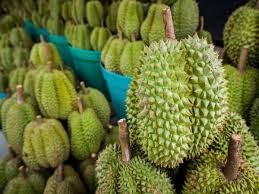 Mengenal pasti tindakan yang perlu. Eksport Durian Thailand Ke China Bernilai Rm2 56 Bilion