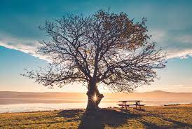 Live Each Day As If It Were Your Last By William Cho Student Voices