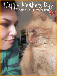 King 🤴 ⚽️⚽️⚽️🆙 FULL FULLTIME TIME 0-2 O 2 MARTINEZ 43' MESSI 82'