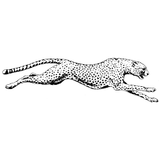 Here are the few easy steps that can help your kids to learn to draw a one easily. Running Cheetah 1494j Leopard Tattoos Jaguar Tattoo Cheetah Tattoo