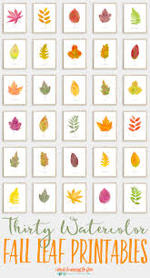 Pin On I Should Be Mopping The Floor Printables