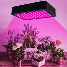 600w Led Grow Light Full Spectrum Indoor Hydroponic Veg Flower Plant Lamp Led Grow Lights Grow Lights Led Grow