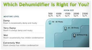 What Size Dehumidifier Do I Need For Basements Rooms Whole