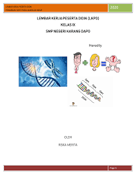 Unduh perangkat pembelajaran kurikulum 2013 pai smp mts kelas vii. Lkpd Rpp 3 Riskamerita