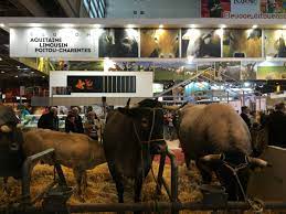 Check spelling or type a new query. Visiting The Salon De L Agriculture In Paris Bonjour Paris