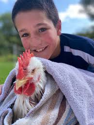 Randolph-Portage County Fair 'extra-special' after cancelation in 2020