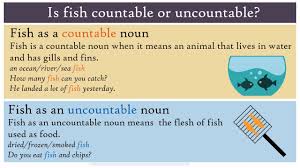 For example, computer, tom, seattle, history are all nouns. Is Fish Countable Or Uncountable Youtube
