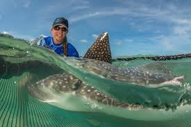 Small Grant - Save Our Seas Foundation