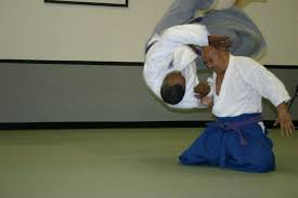 0db6f6884e4de0d0eac44424eb9ce826 Jpg 736 490 Jujutsu Martial Arts Martial