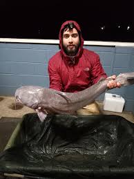 Hubbard's Spring Lake LLC