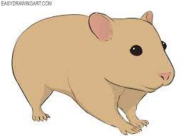 How To Draw A Hamster - Easy Drawing Art