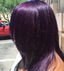 Purple Violet Midnight Black Dark Purple Hair Color Dark Purple Hair Purple Hair