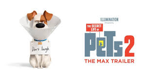 To unlock the door to the netflix hidden library, choose a code from the lists below. The Secret Life Of Pets 2 The Max Trailer Hd Secret Life Of Pets Secret Life Good Movies To Watch