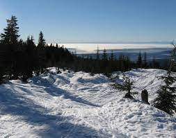 43 (coquitlam) will be closed for statutory holidays on july 1 (canada day), august 2 (b.c. Coquitlam Mountain Wikipedia