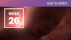You are 27 weeks exactly pregnant. 26 Weeks Pregnant What To Expect Your 26th Week Of Pregnancy Youtube